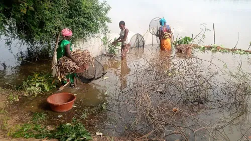 Femmes au bord d'une rivière à Sokoura